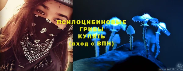 хмурый Алзамай