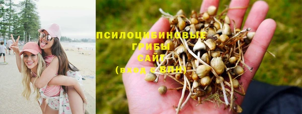 кокаин премиум Алексеевка