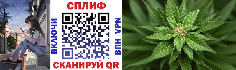 ОМГ ОМГ tor  Кропоткин  Канабис тримм 